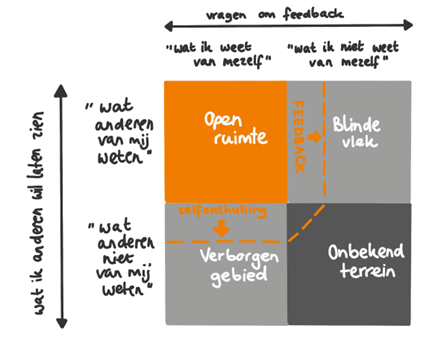 De audit als spiegel 1